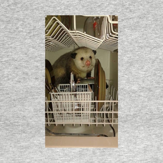 Dishwasher Possum by FlashmanBiscuit